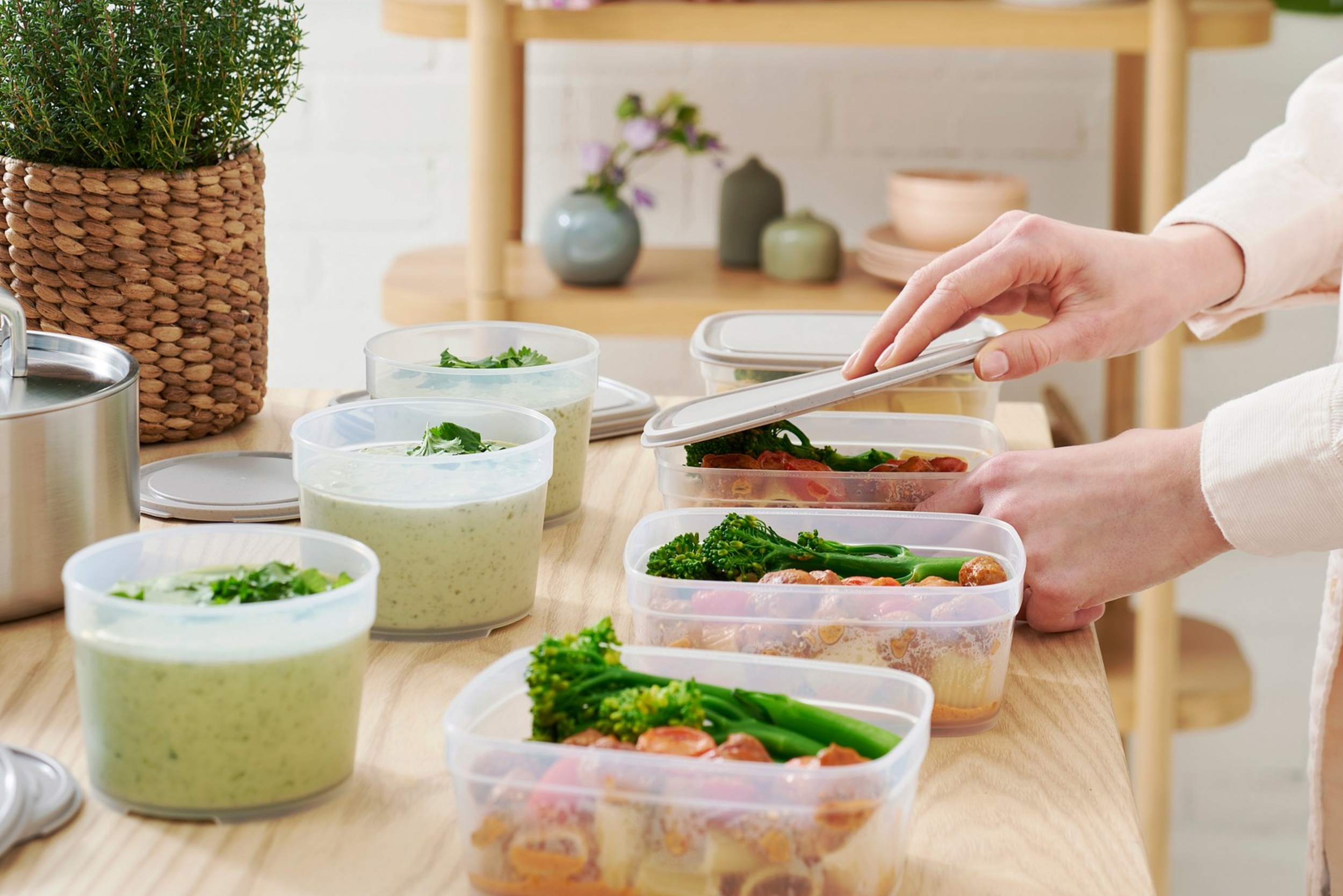  Kühlschrank-Organizer