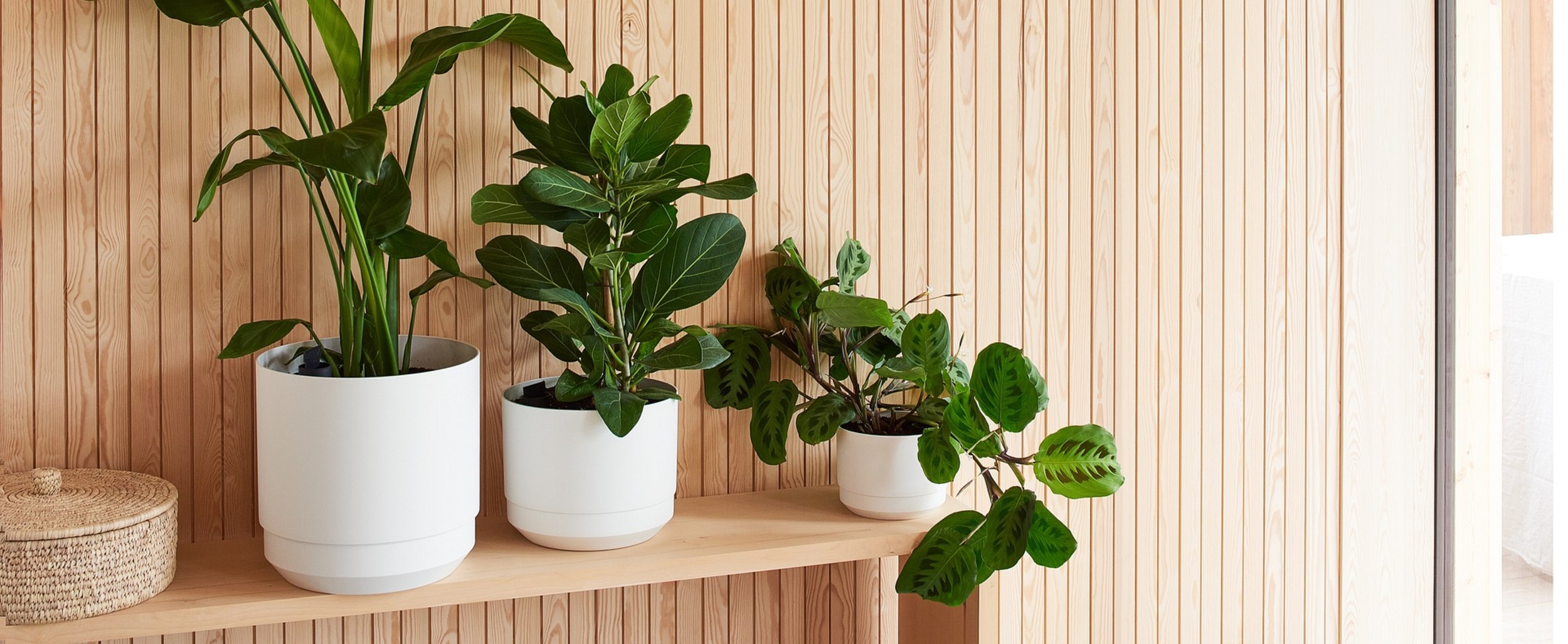 Blumen-/Pflanztöpfe selbstbewässernd