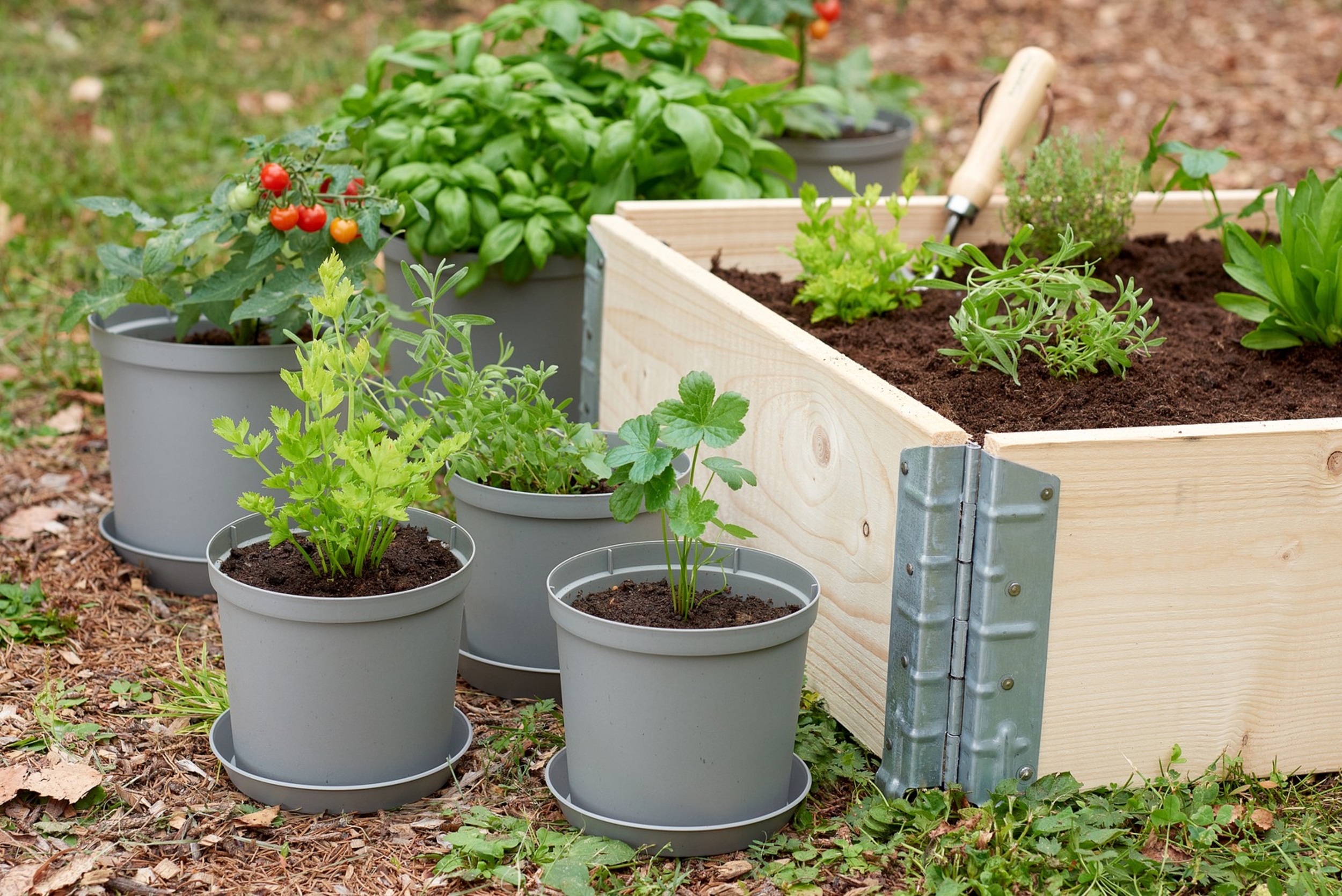 Untersetzer Blumen-/Pflanztöpfe