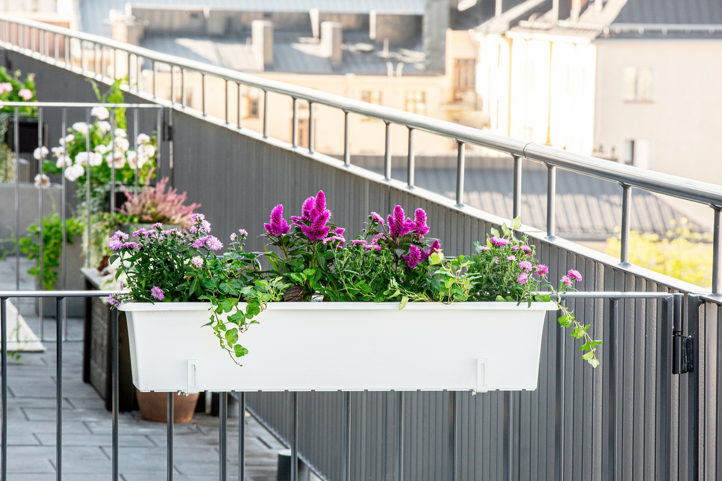 Blumenkästen für Balkon & Fensterbank