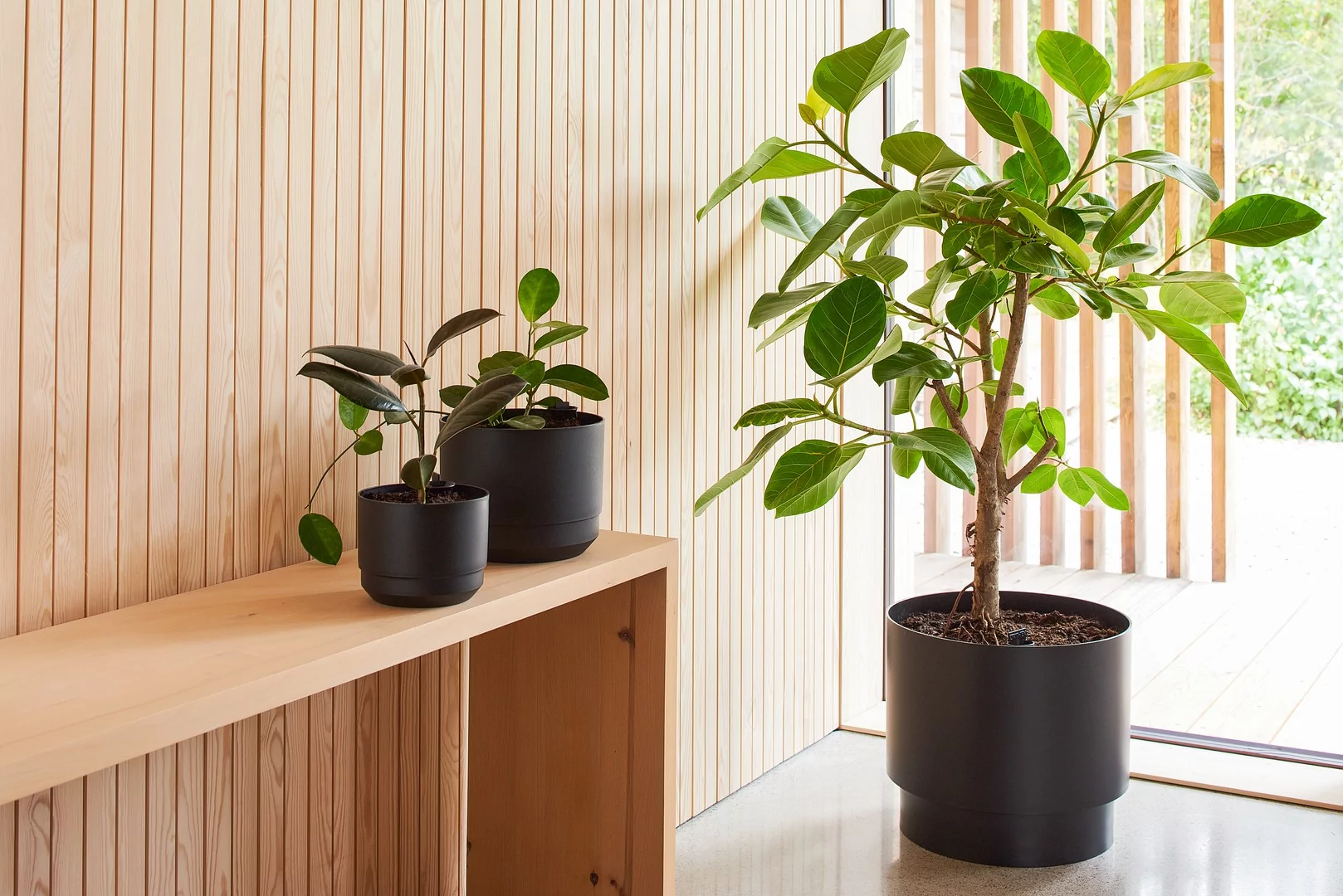 Self-watering